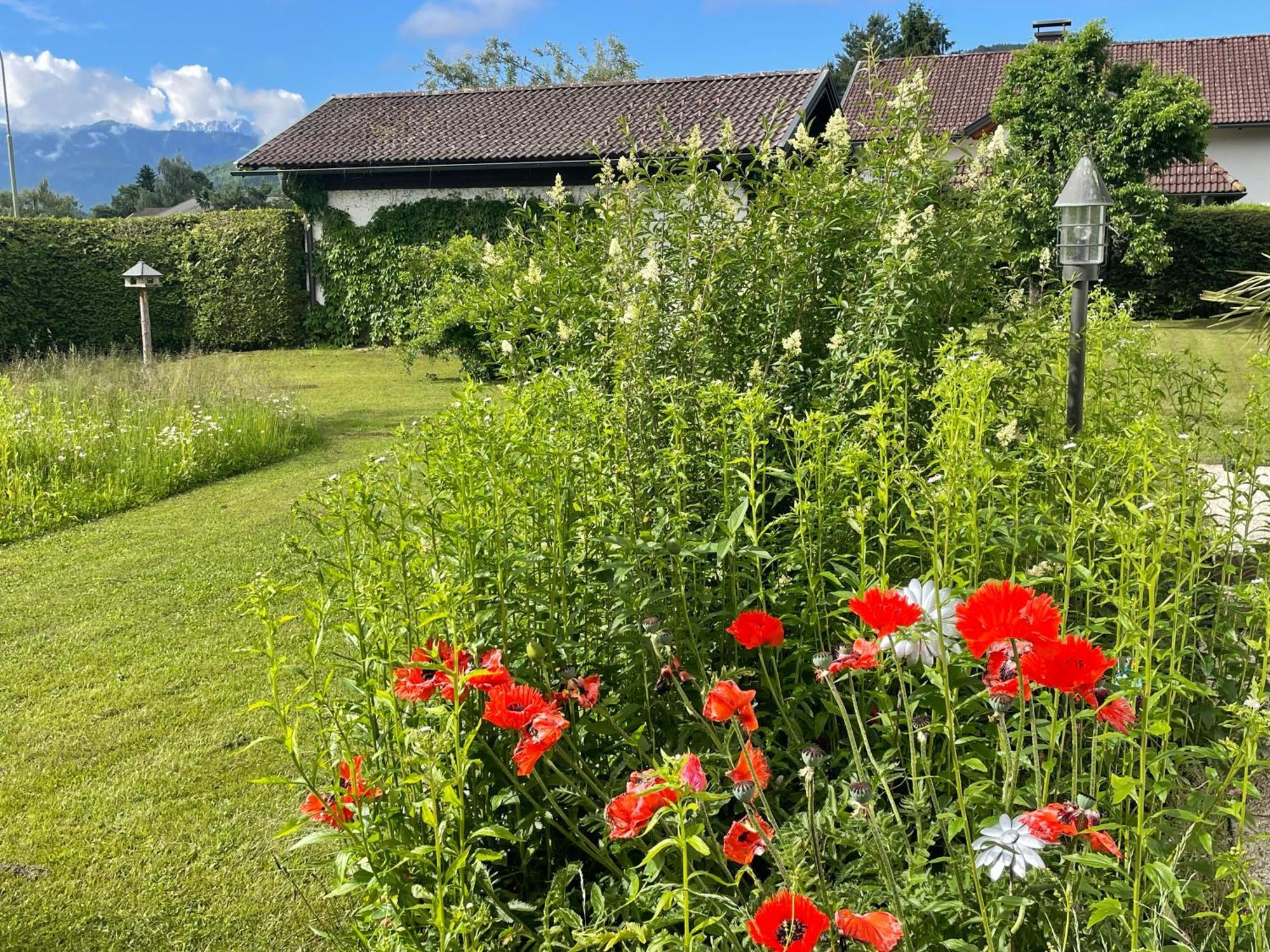 빌라흐 Haus Bergblick 아파트 외부 사진